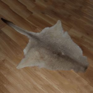 Kangaroo Skin Rugs