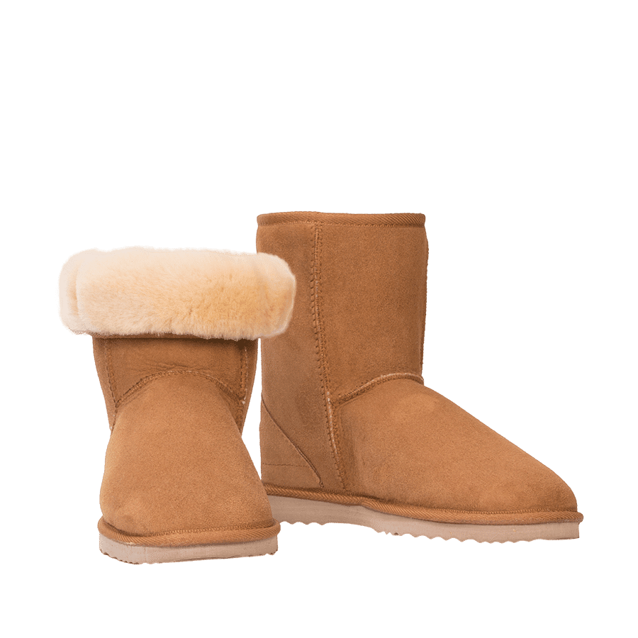 Ankle Ugg Boots Online (5)