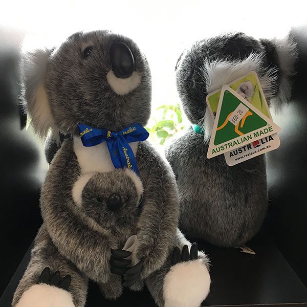Koala and baby Koala and baby