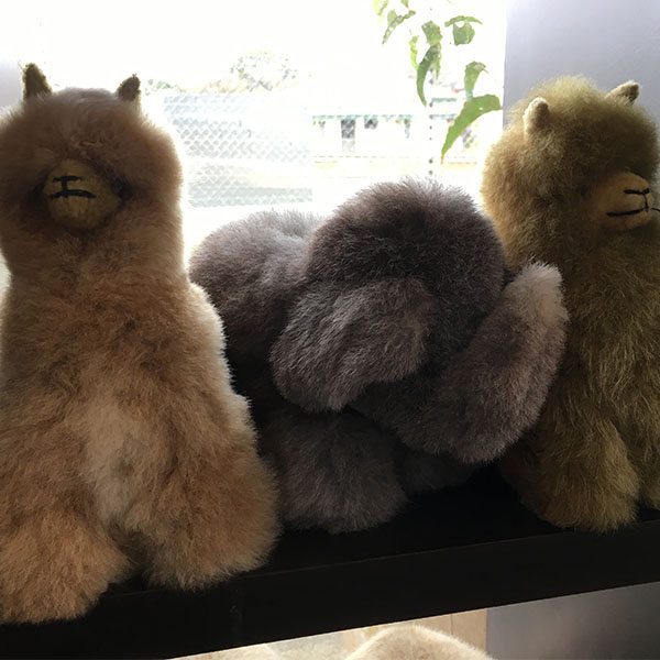 Lama and elephant Lama and elephant