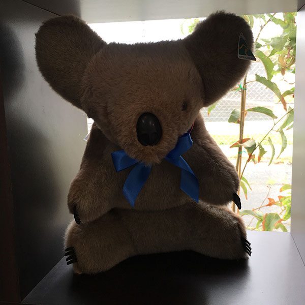 blue koals blue koals