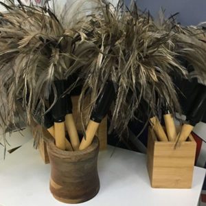 feather duster