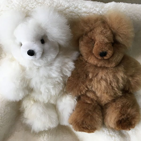 fluffy bears fluffy bears