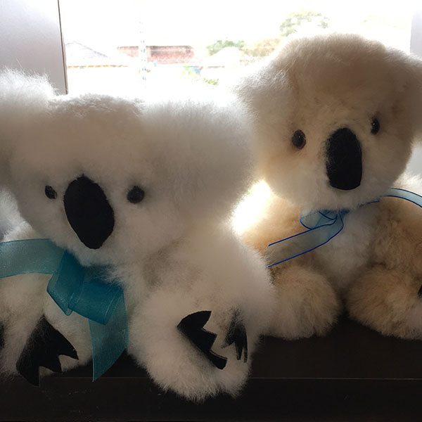 fluffy koalas fluffy koalas