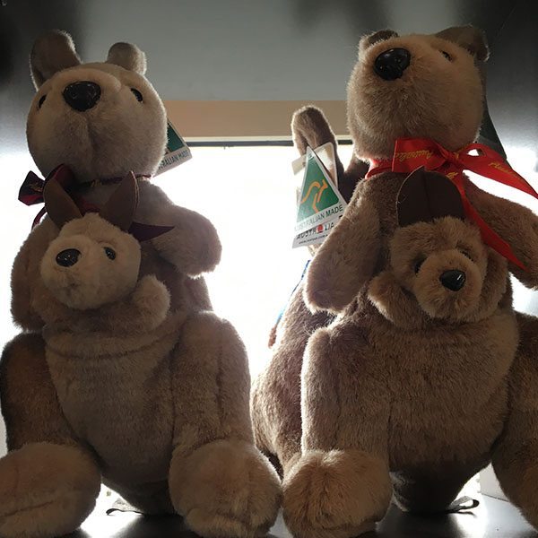 roo and joey roo and joey