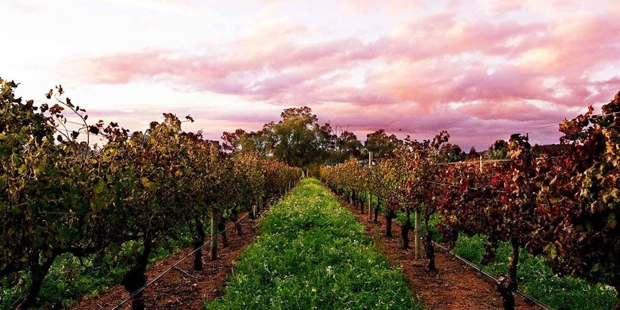 Swan Valley Tourist Attractions Perth