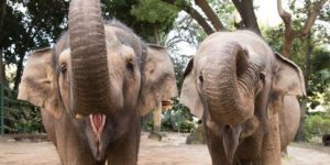 Fun Things To Do In Perth With Kids