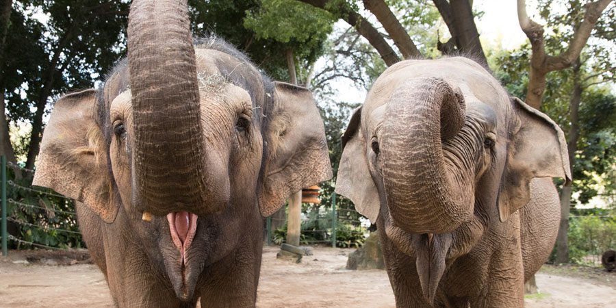 Fun Things To Do In Perth With Kids