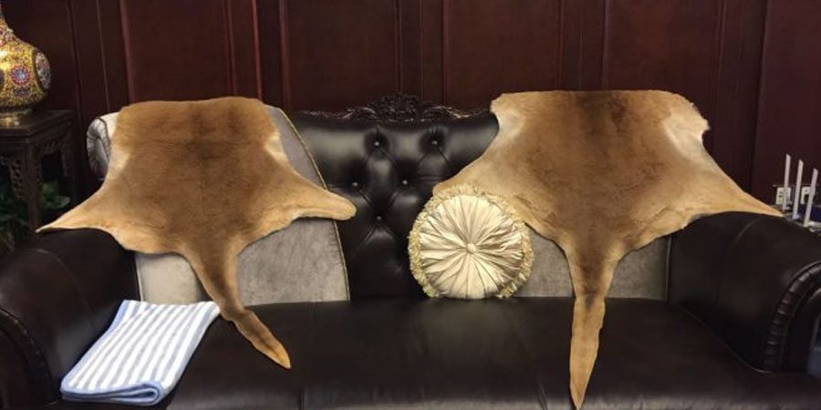 Kangaroo Skin Rugs Kangaroo Skin Rugs