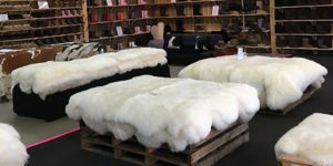 The Health Benefits Of A Sheepskin Rug