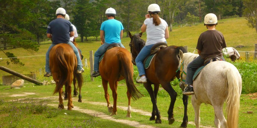 Horse Riding Horse Riding