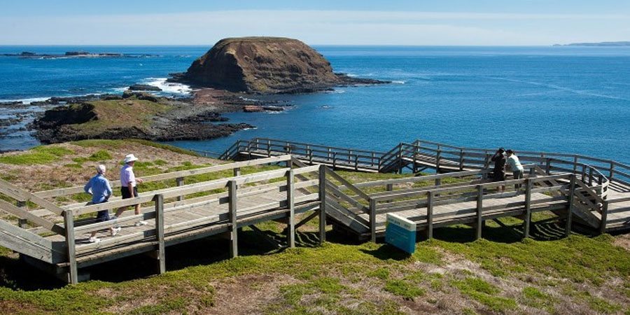 Penguin Island Penguin Island