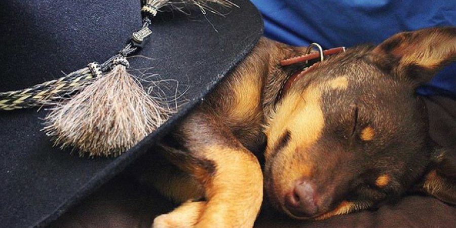 Gifts and Souvenirs Gifts and Souvenirs