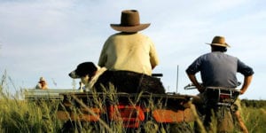 Supporting Our Farmers Beyond The Drought